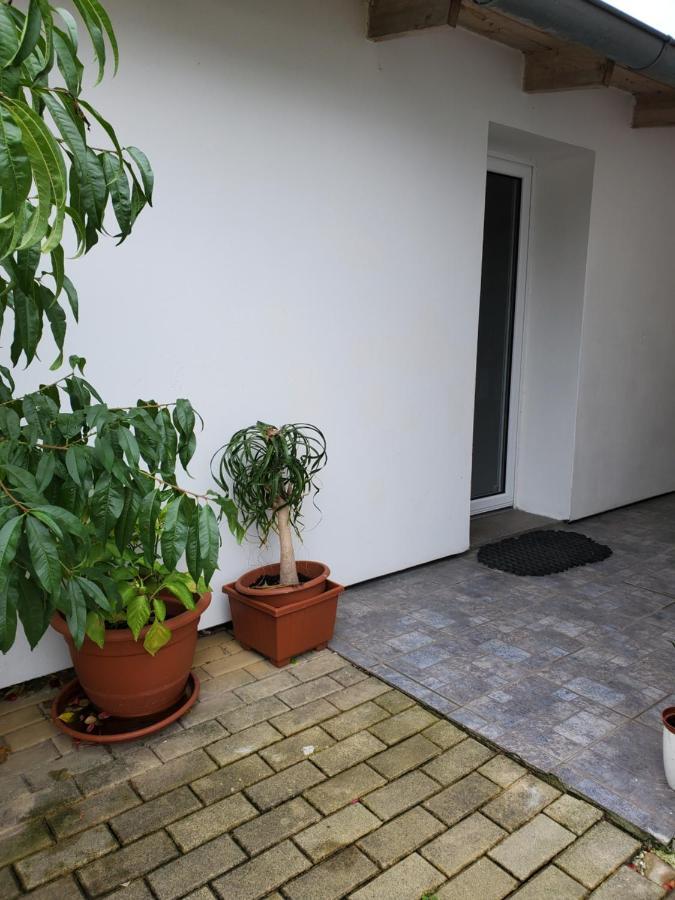 Apartament Apartman Stary Liskovec Brno Zewnętrze zdjęcie